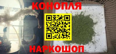 гидра Славгород