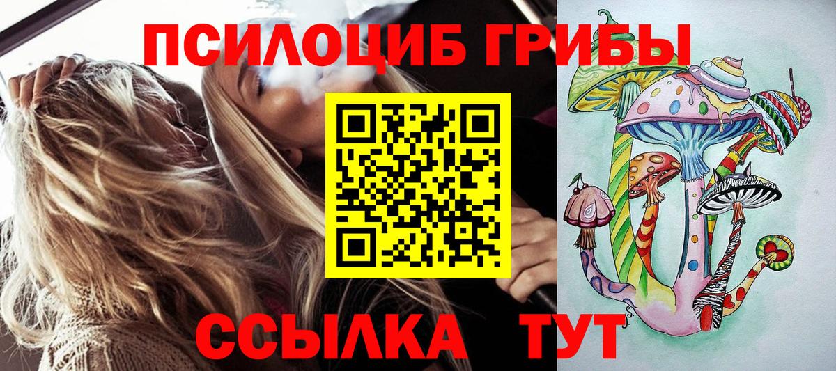 Псилоцибиновые грибы мухоморы  Вход с VPN  купить закладку  Павловский Посад 